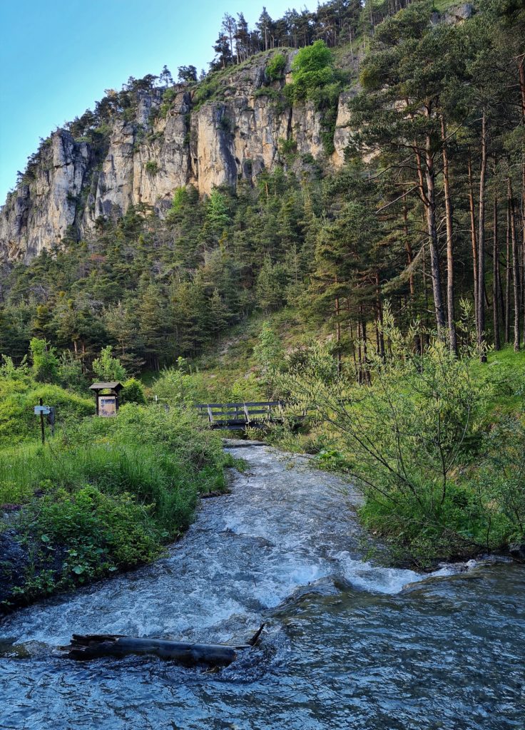 Jusqu’à Exiles deux chemins s’offrent aux pèlerins en dehors de la SS24 : le Sentiero dei Franchi et le Parco Naturale Gran Bosco Di Sabeltrand particulièrement agréable 