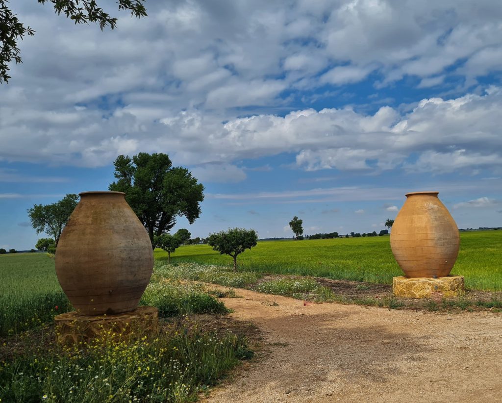 Entre San Clemente et las Pedroñeras, les entrées de certaines propriétés viticoles sont marquées par d’énormes jarres qui servaient autrefois à stocker le vin.