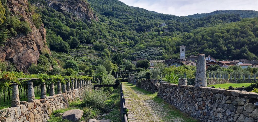 Un vignoble dans le val d'Aoste. Les vignes sont portées par des colonnes de pierre