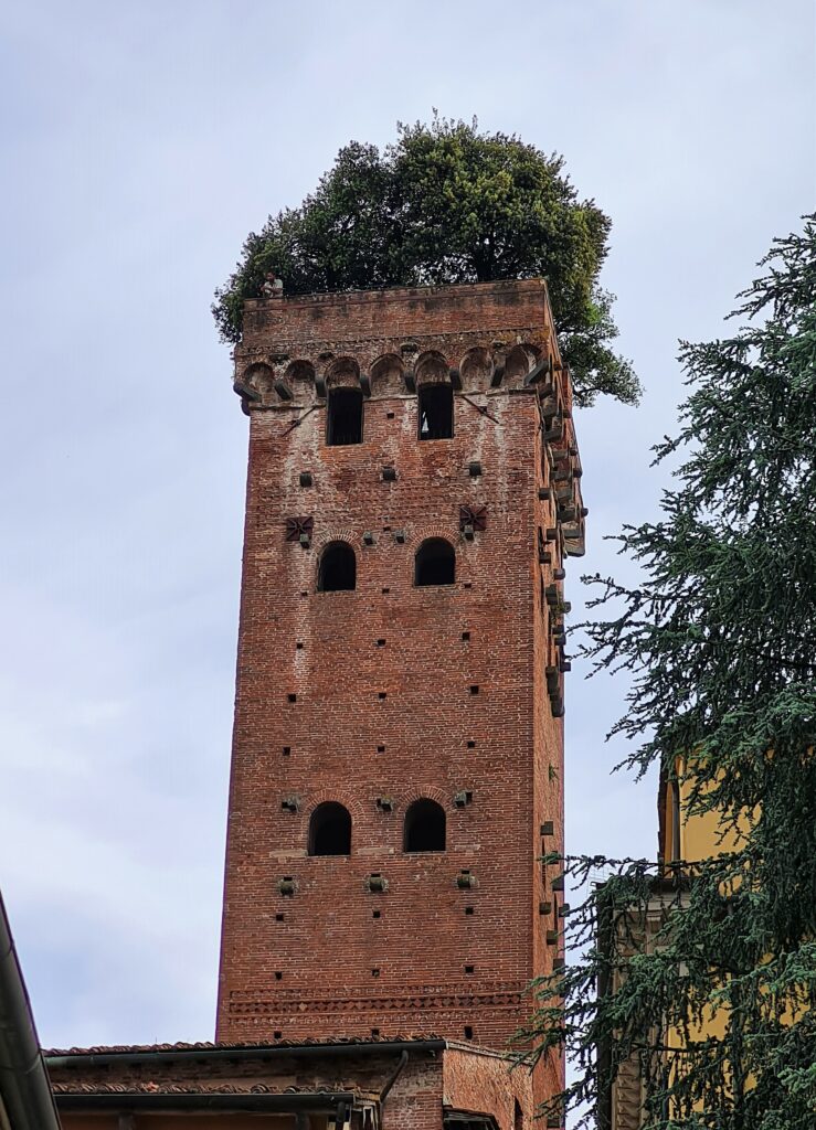 A Lucca, de nombreuses tours dont la Torre delle Oro et la Torre Guinigi surmontée d’arbres